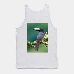 Collared Aracari - Costa Rica Tank Top